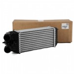 Citroen DS3 Intercooler Radyatörü Orjinal